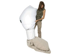 Bean Bag Funnelweb