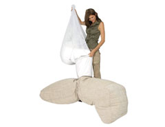 Bean Bag Funnelweb