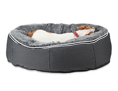 Attached Pet Lounge: (medium)