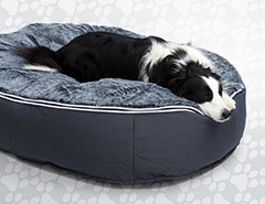Pet Lounge Cover